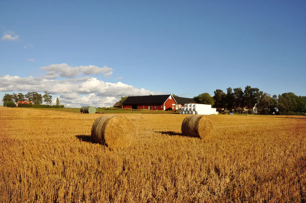  Juridische aandachtspunten bij de verkoop van agrarisch onroerend goed